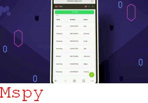 Mspy Burzowe